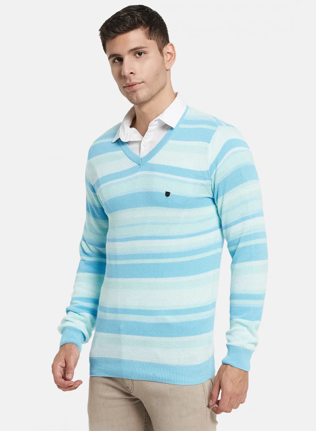Men Blue Stripe Pullover